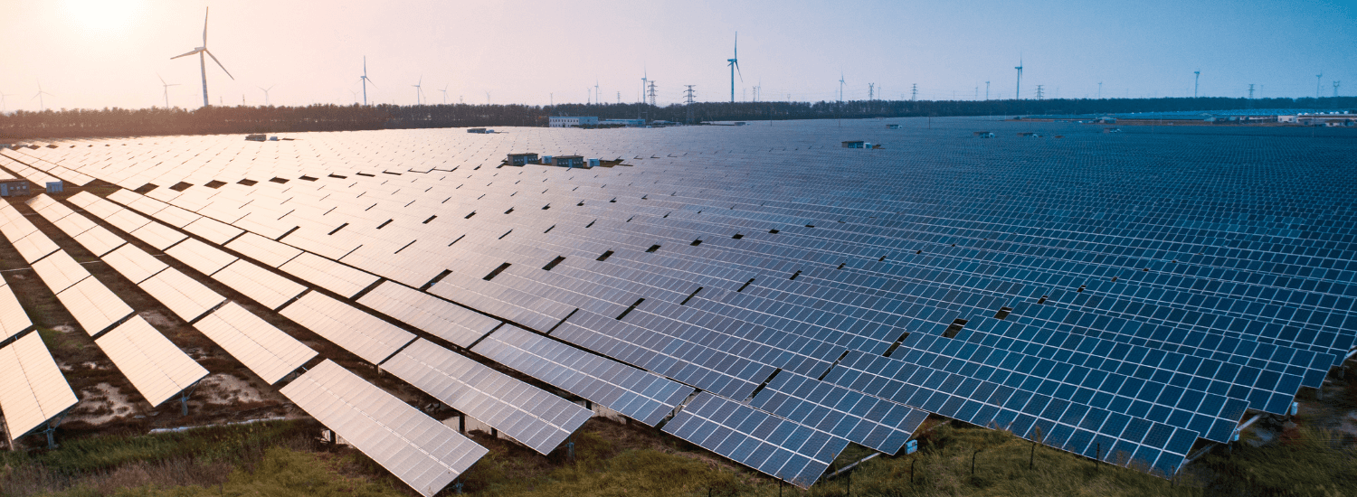 Solar panel and wind power station